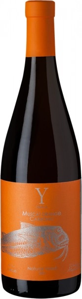 Вино Yaiyla Muscat Orange